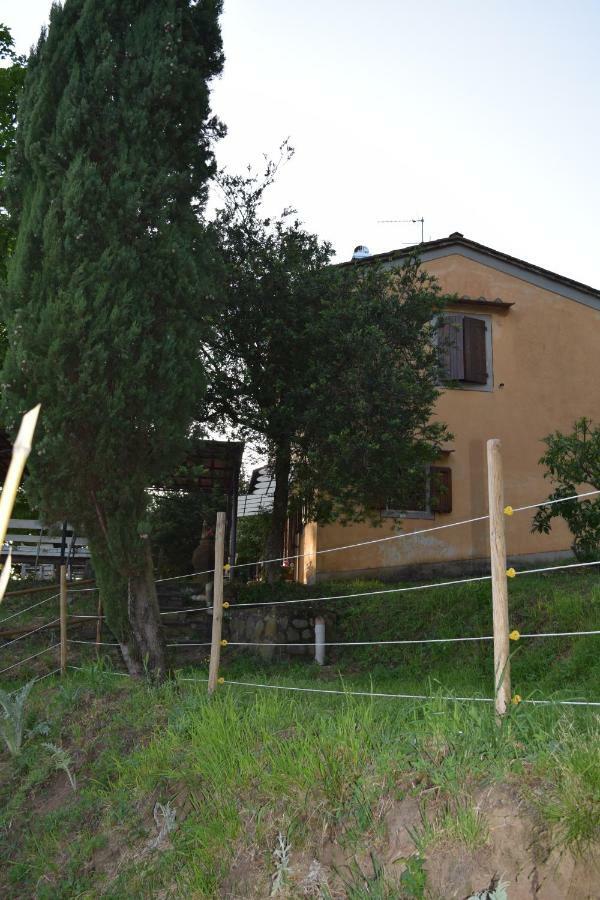Uzzano La Casa Sui Colliヴィラ エクステリア 写真