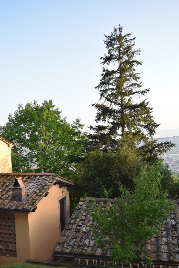 Uzzano La Casa Sui Colliヴィラ エクステリア 写真